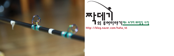 스파이더플라이 이미지