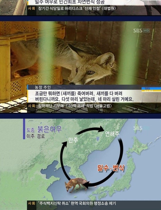 대단한이야기 이미지