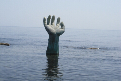 건어물독도사랑 이미지