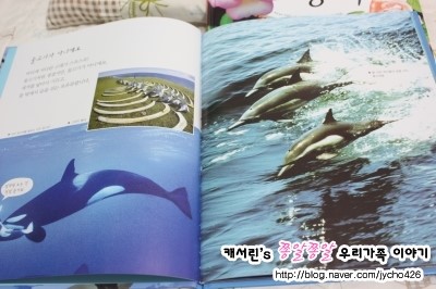 주원고래 이미지