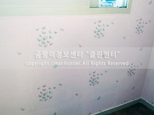 곰팡이제거업체벽지베란다결로단열벽지시공 이미지