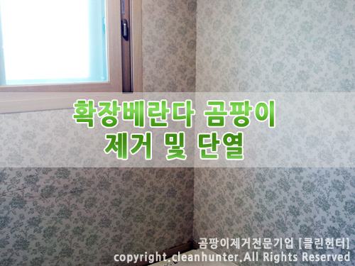 곰팡이헌터 이미지