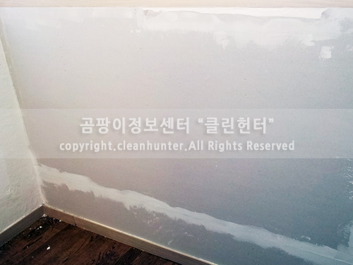 곰팡이헌터 이미지