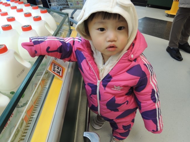 돌콩새 이미지