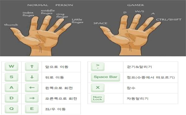 손차이 이미지