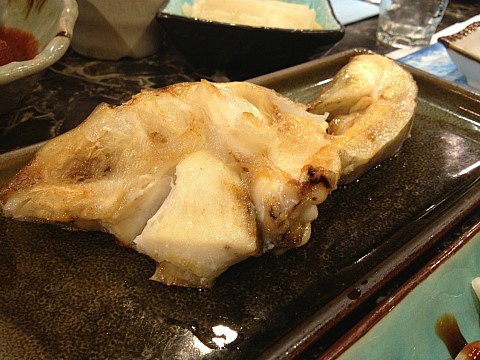 다린참치 이미지