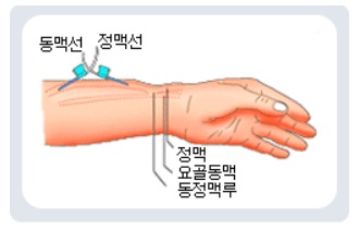 노승현내과 이미지