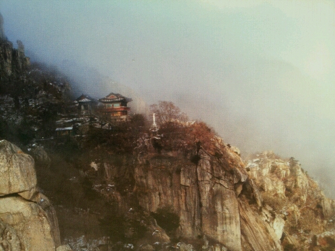 남해자연산횟집 이미지