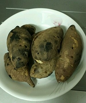 조은농산 이미지