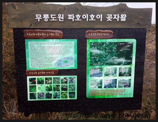 무릉도원올레 이미지