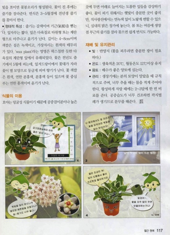 호야농원 이미지