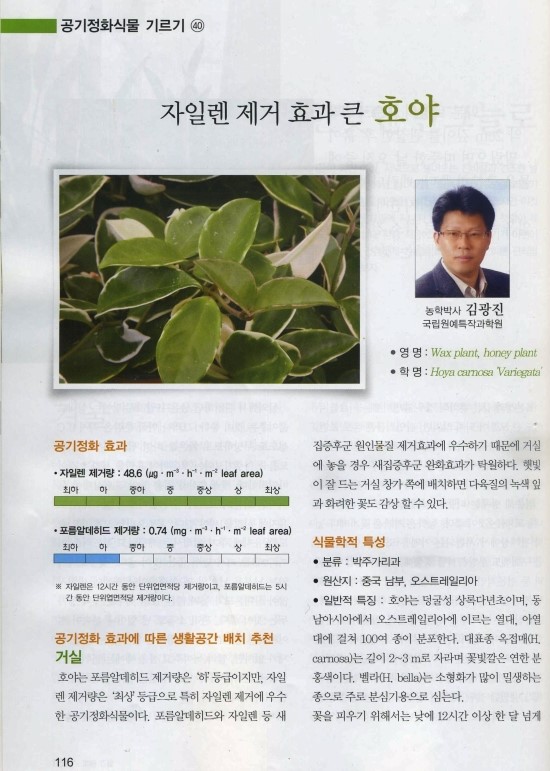 호야농원 이미지