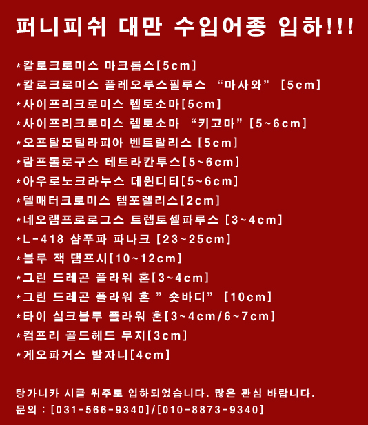 퍼니피쉬 이미지