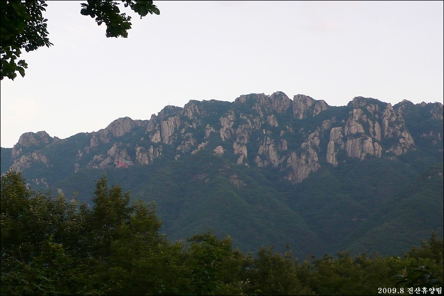 진산자연휴양림 이미지