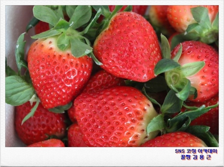 하늘땅영농조합법인 이미지