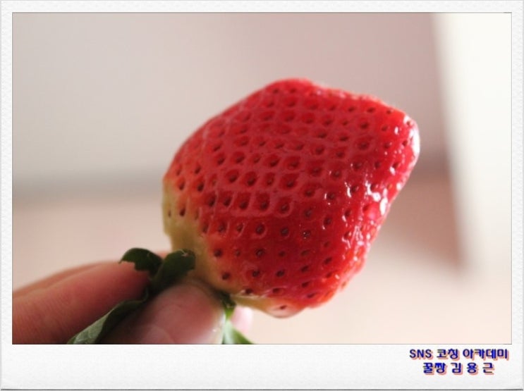 하늘땅영농조합법인 이미지