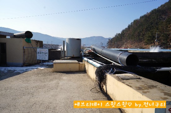 신흥양어장횟집 이미지