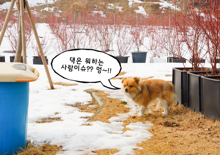 참골도예 이미지