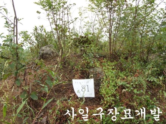 여주장묘개발 이미지
