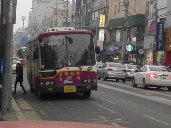 보성황실시장 이미지