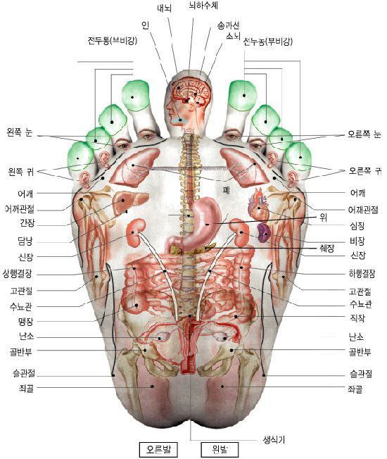 미성마사지 이미지