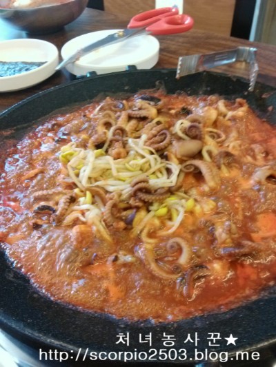 인동용두동쭈꾸미 이미지