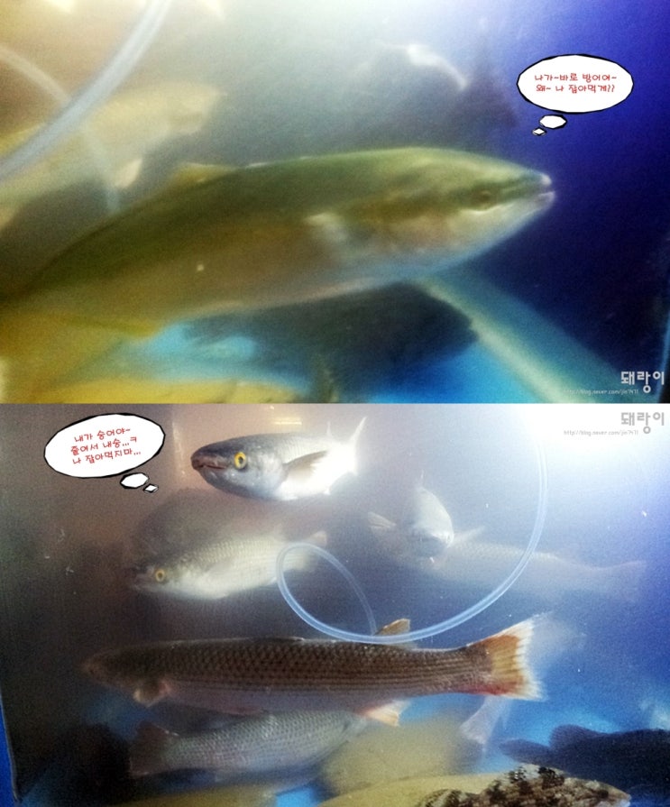 해청원 이미지