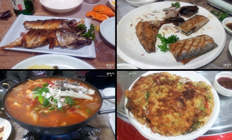 해청원 이미지