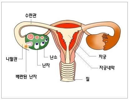 스마트지식in 이미지