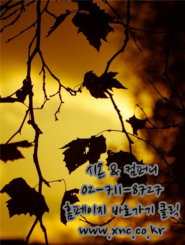 시온정보통신 이미지