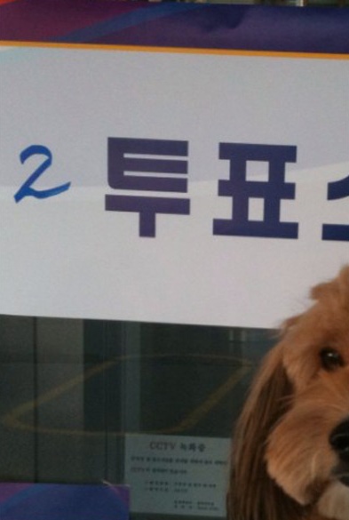 순심이 이미지