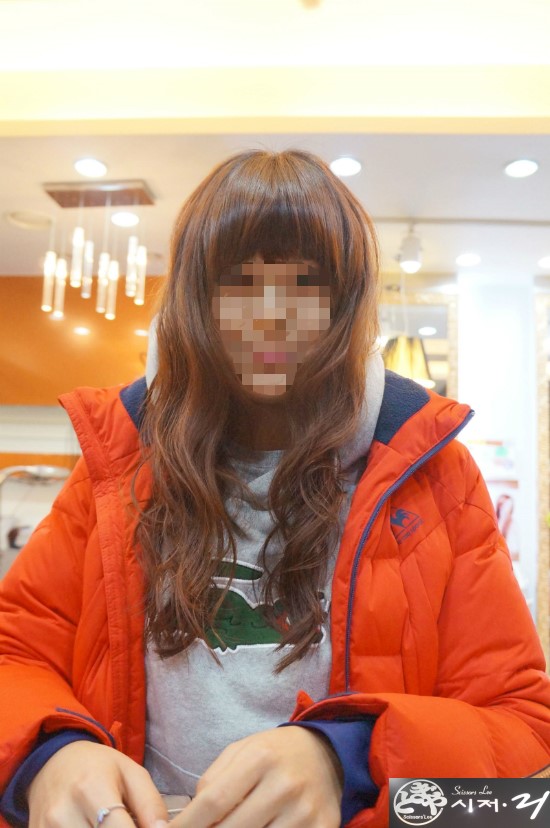 시저리 이미지