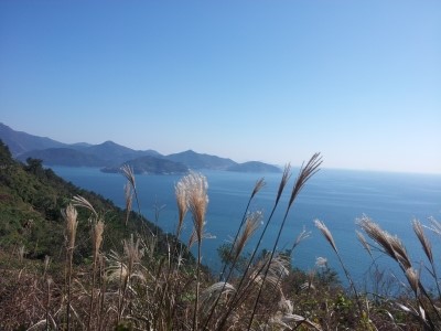 대한엠엔에이 이미지