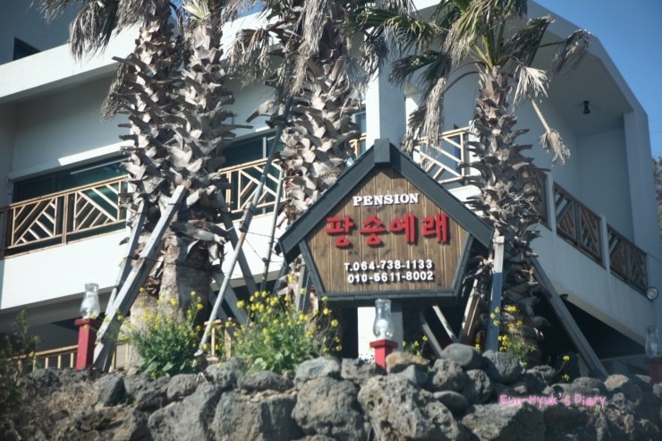 제주팡숑예래 이미지