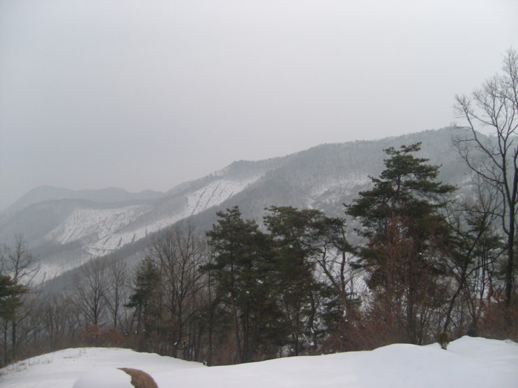 이담리 이미지