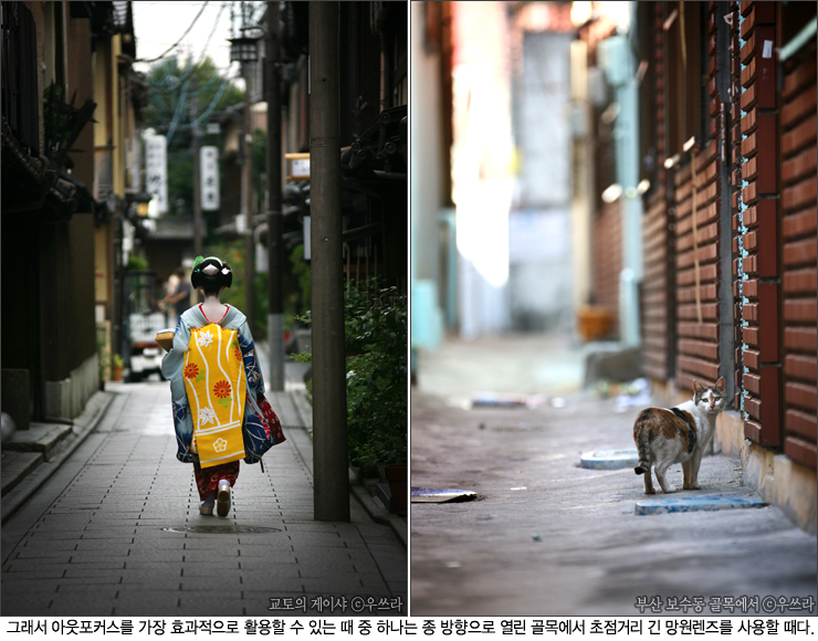 아웃포커스 이미지