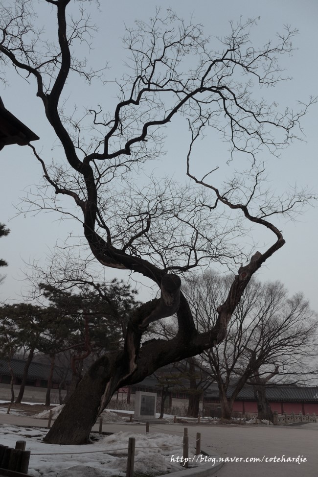 박상궁 이미지