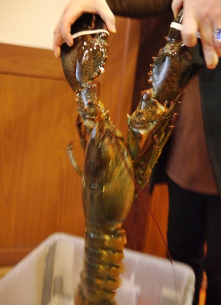 뉴욕바닷가재 이미지