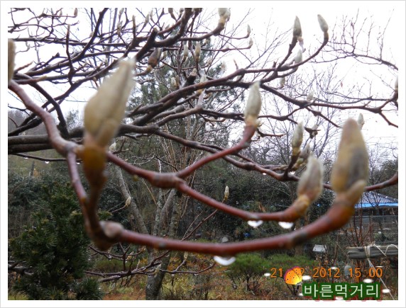 에프엠푸드 이미지