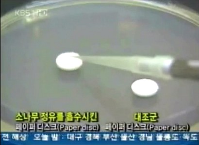 솔잎슈퍼 이미지