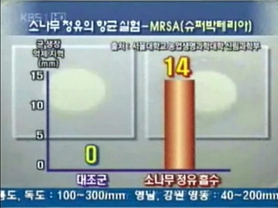 솔잎슈퍼 이미지