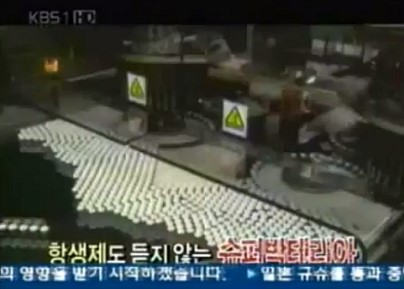 솔잎슈퍼 이미지