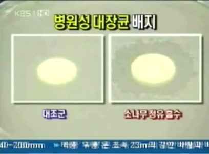 솔잎슈퍼 이미지