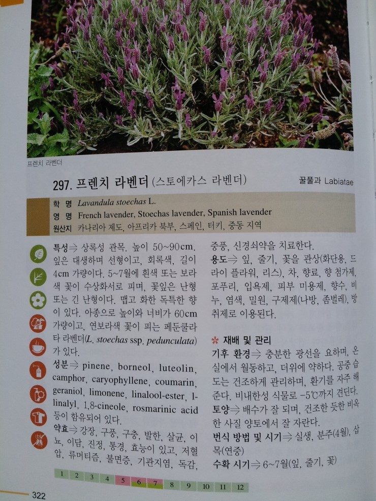 김제종정초등학교 이미지