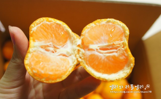 백록담제주특산품 이미지