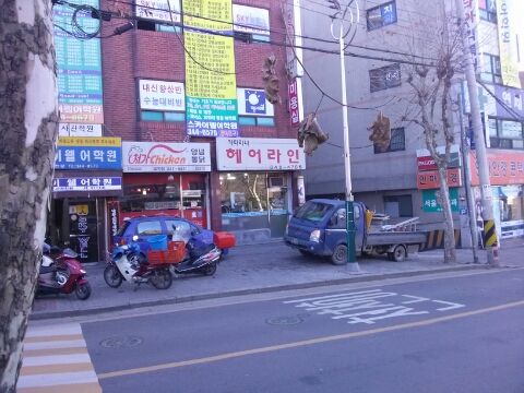 카타리나헤어 이미지