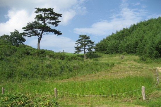 황산골 이미지