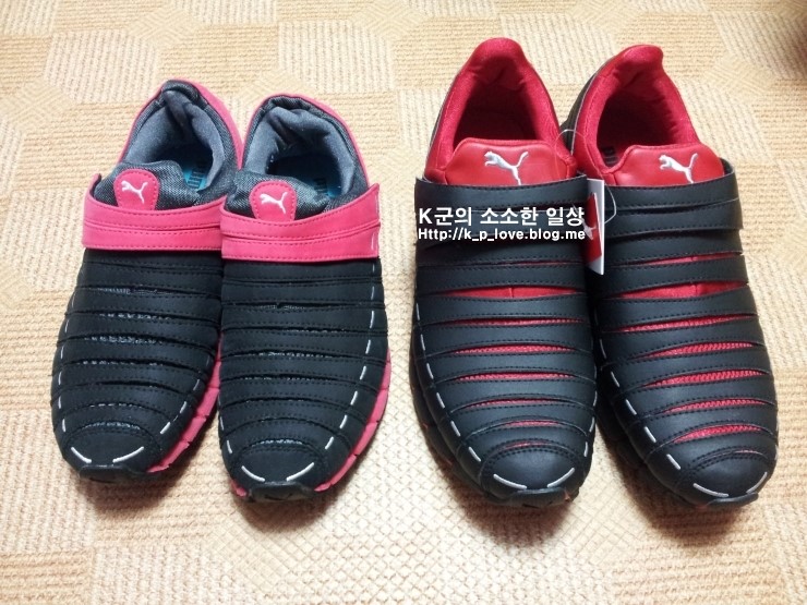 푸마엔터식스 이미지