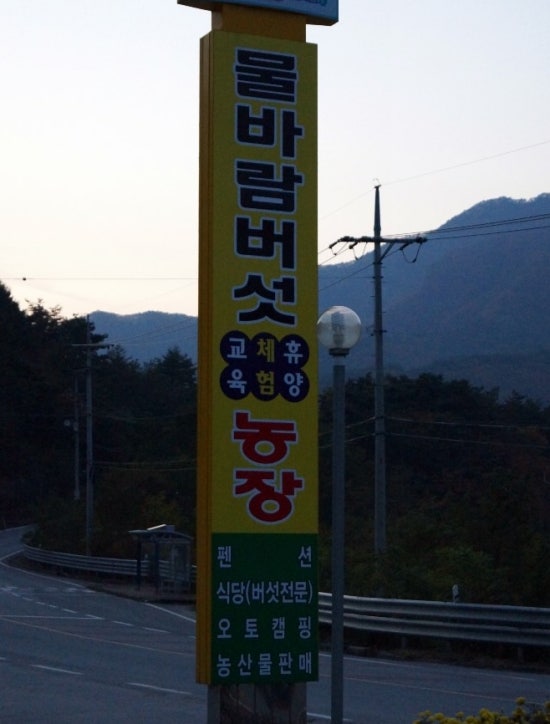 제이렌터카 이미지
