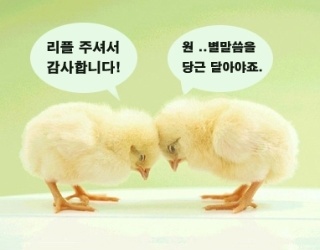 하림성 이미지